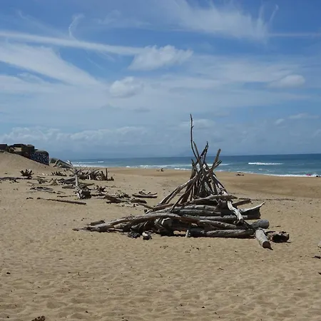 Aux Portes De L'ocean 2 Labenne