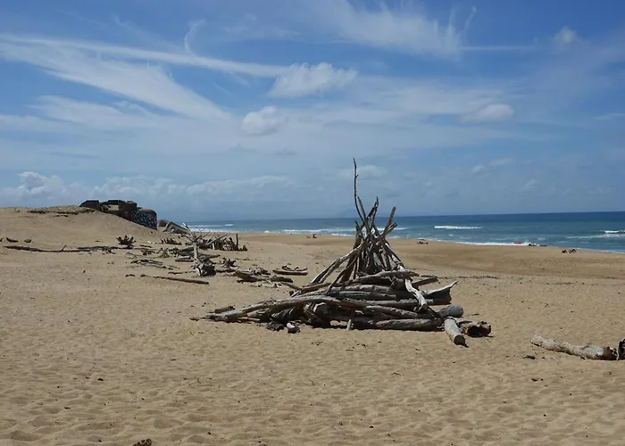 Aux Portes De L'ocean 2 Labenne